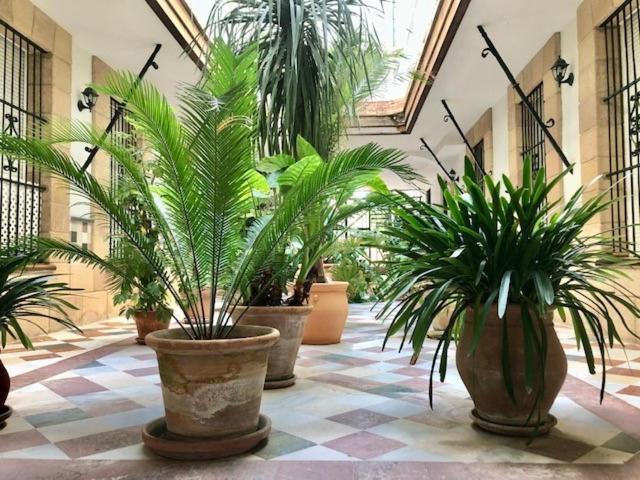Appartement Gatu La Del Mercado, Apart Con Parking En Edificio Con Encanto En El Centro Historico